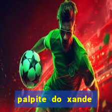 palpite do xande de hoje