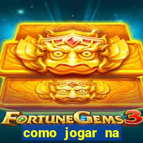 como jogar na lotinha do jogo do bicho