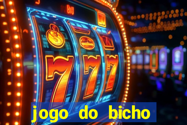 jogo do bicho crash bingo