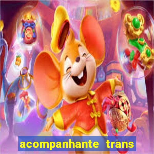 acompanhante trans porto seguro