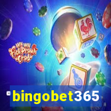 bingobet365