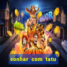 sonhar com tatu jogo do bicho