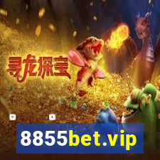 8855bet.vip