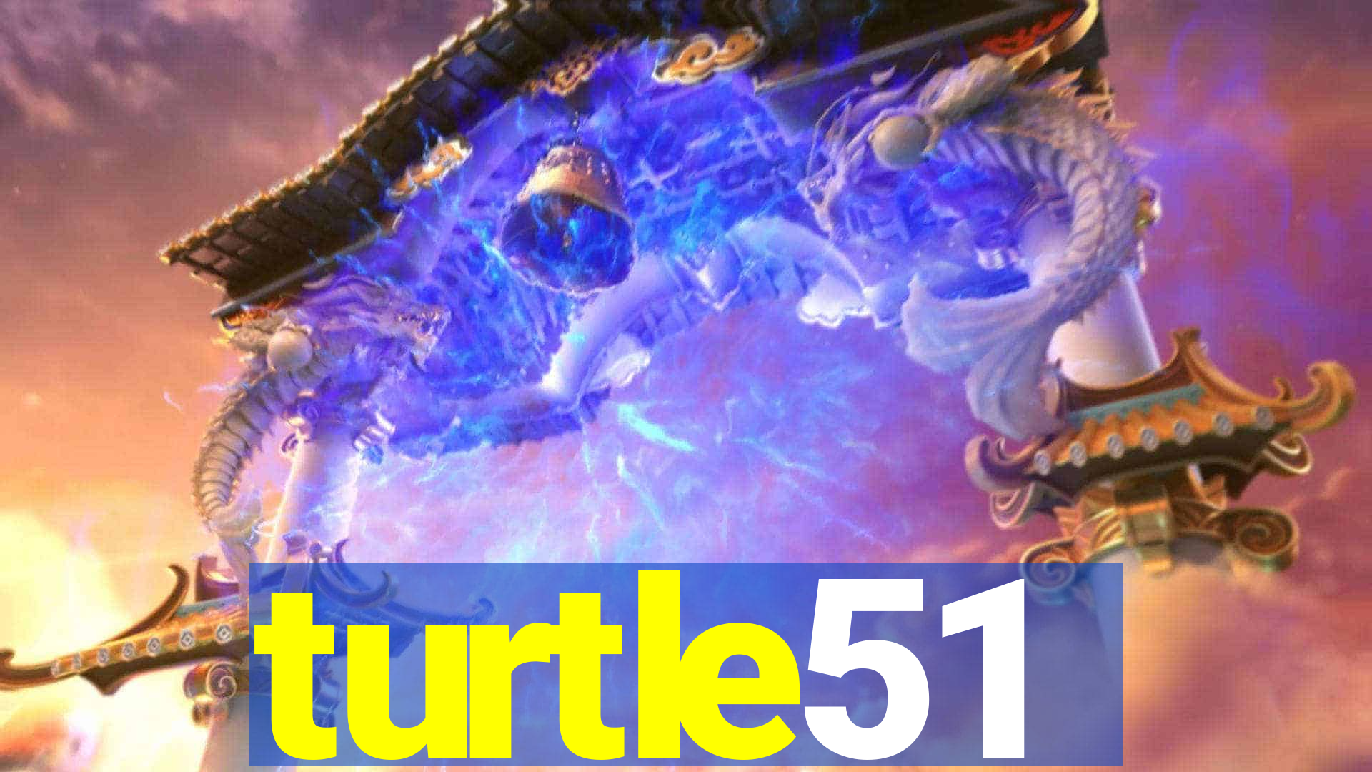 turtle51