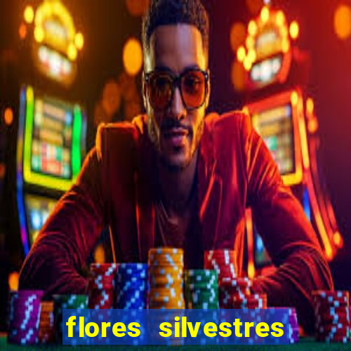 flores silvestres desbravadores desbravadores 25 flores silvestres e seus nomes