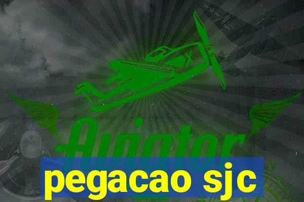 pegacao sjc