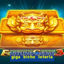 giga bicho loteria dos sonhos