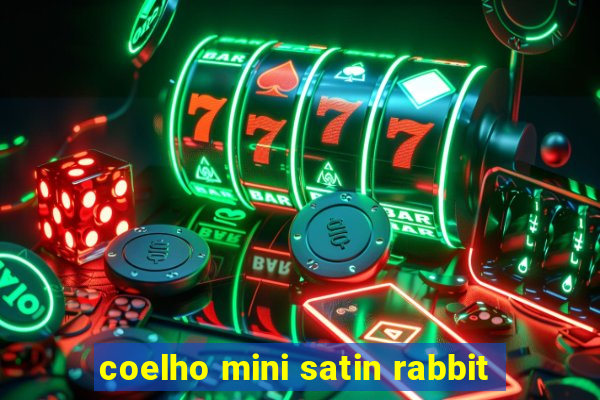 coelho mini satin rabbit